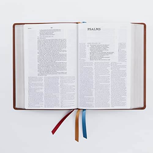 NET Bible, Full-notes Edition, Leathersoft, Black, Comfort Print: Holy Bible