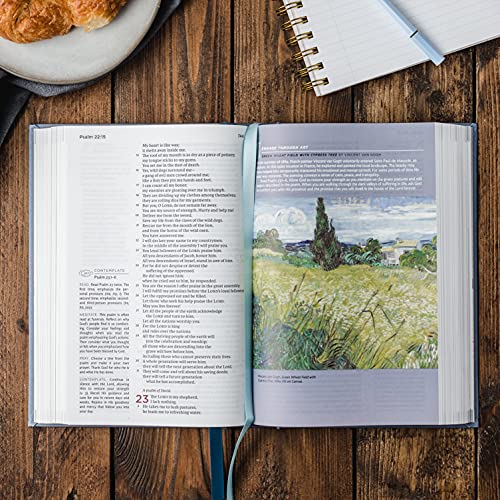 NET, Abide Bible, Stone (Leathersoft)