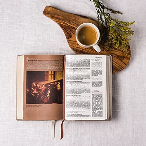 NET, Abide Bible, Stone (Leathersoft)