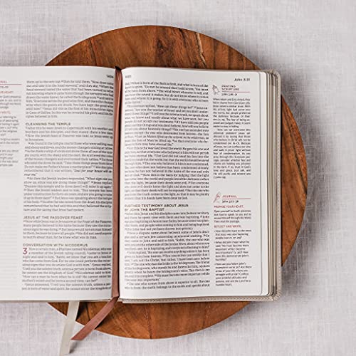 NET, Abide Bible, Stone (Leathersoft)