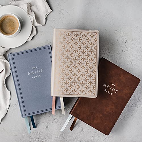 NET, Abide Bible, Stone (Leathersoft)