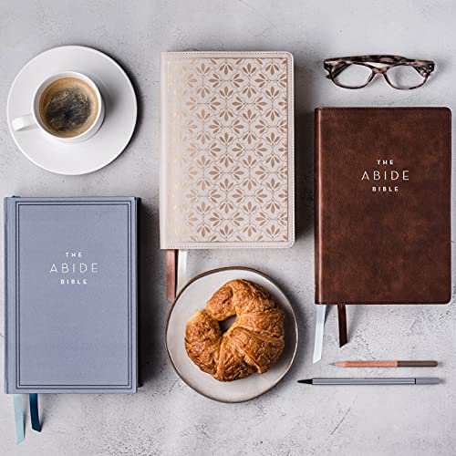 NET, Abide Bible, Stone (Leathersoft)