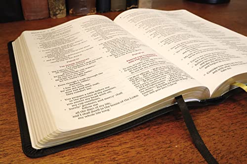 NRSVue, Holy Bible, Black (Leathersoft)