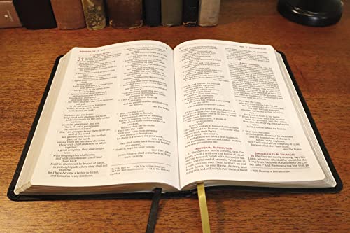 NRSVue, Holy Bible, Black (Leathersoft)
