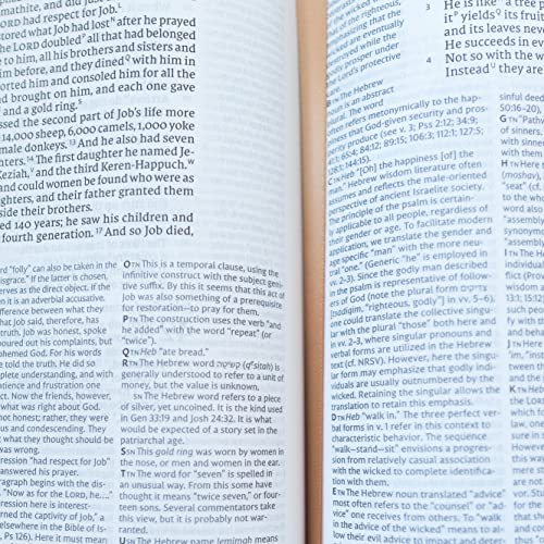 NET Bible, Full-notes Edition, Leathersoft, Black, Comfort Print: Holy Bible