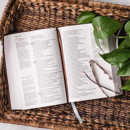 NET, Abide Bible, Stone (Leathersoft)