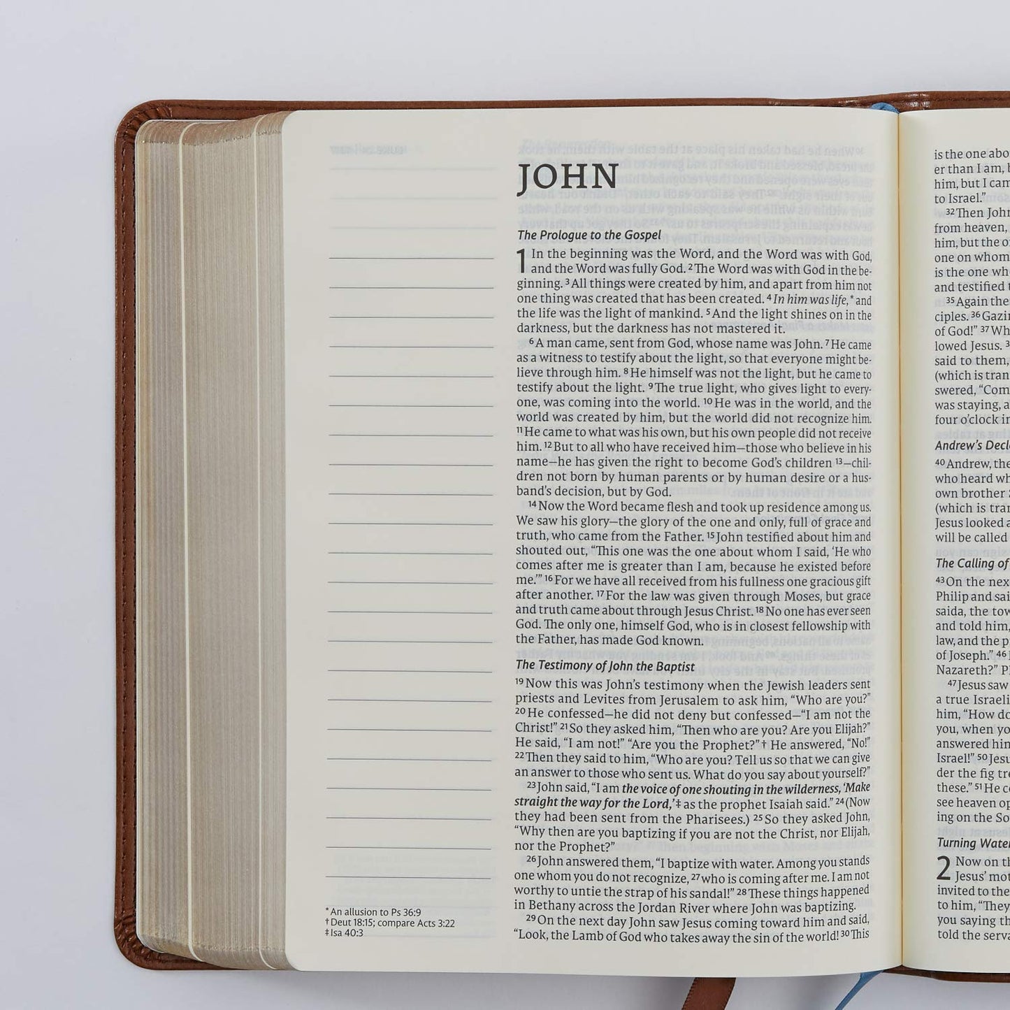 NET Bible, Journal Edition, Brown (Leathersoft)