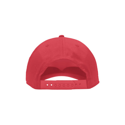 5 Panel VR Cap (Black Logo)